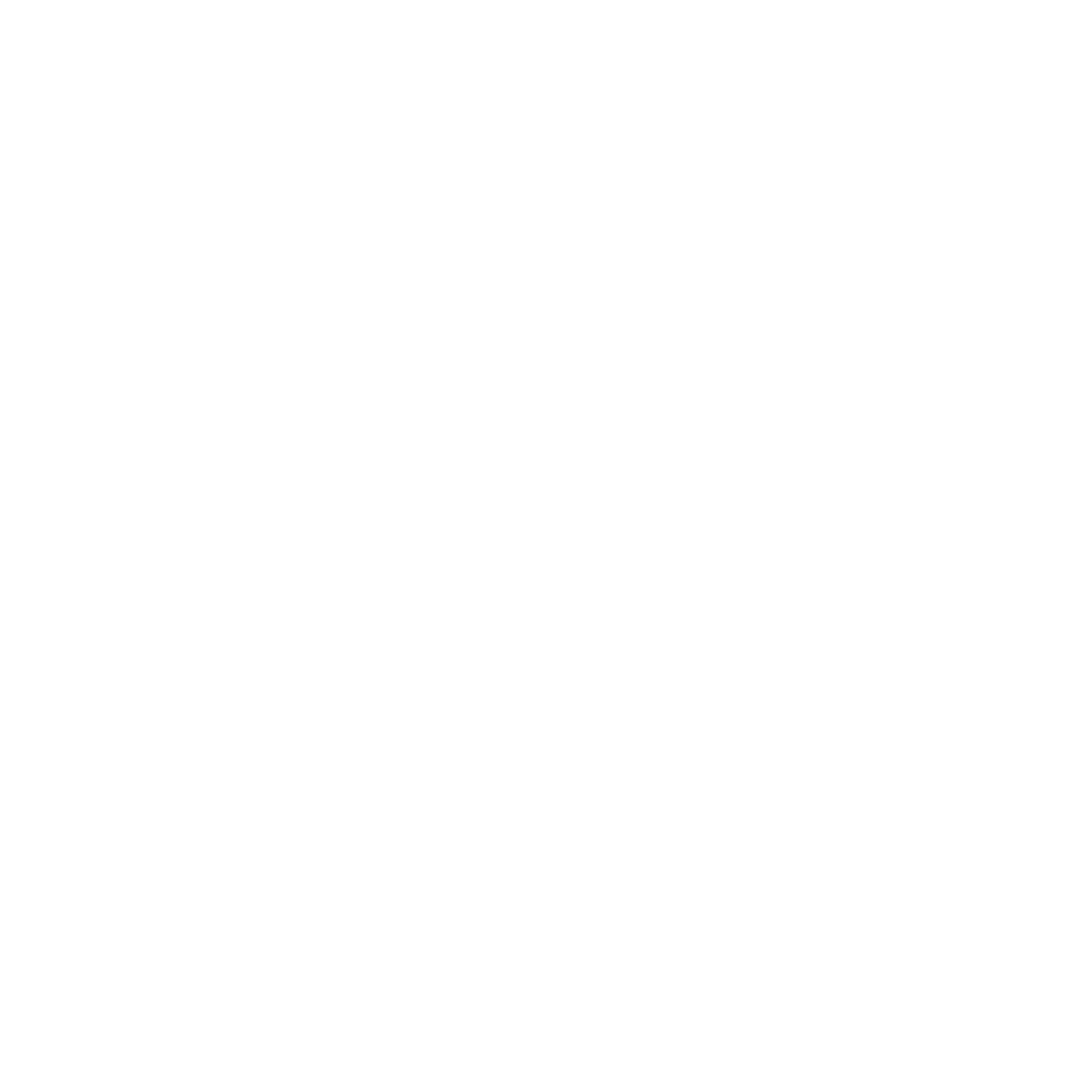 Yeyian Shield Silver - Standard Warranty